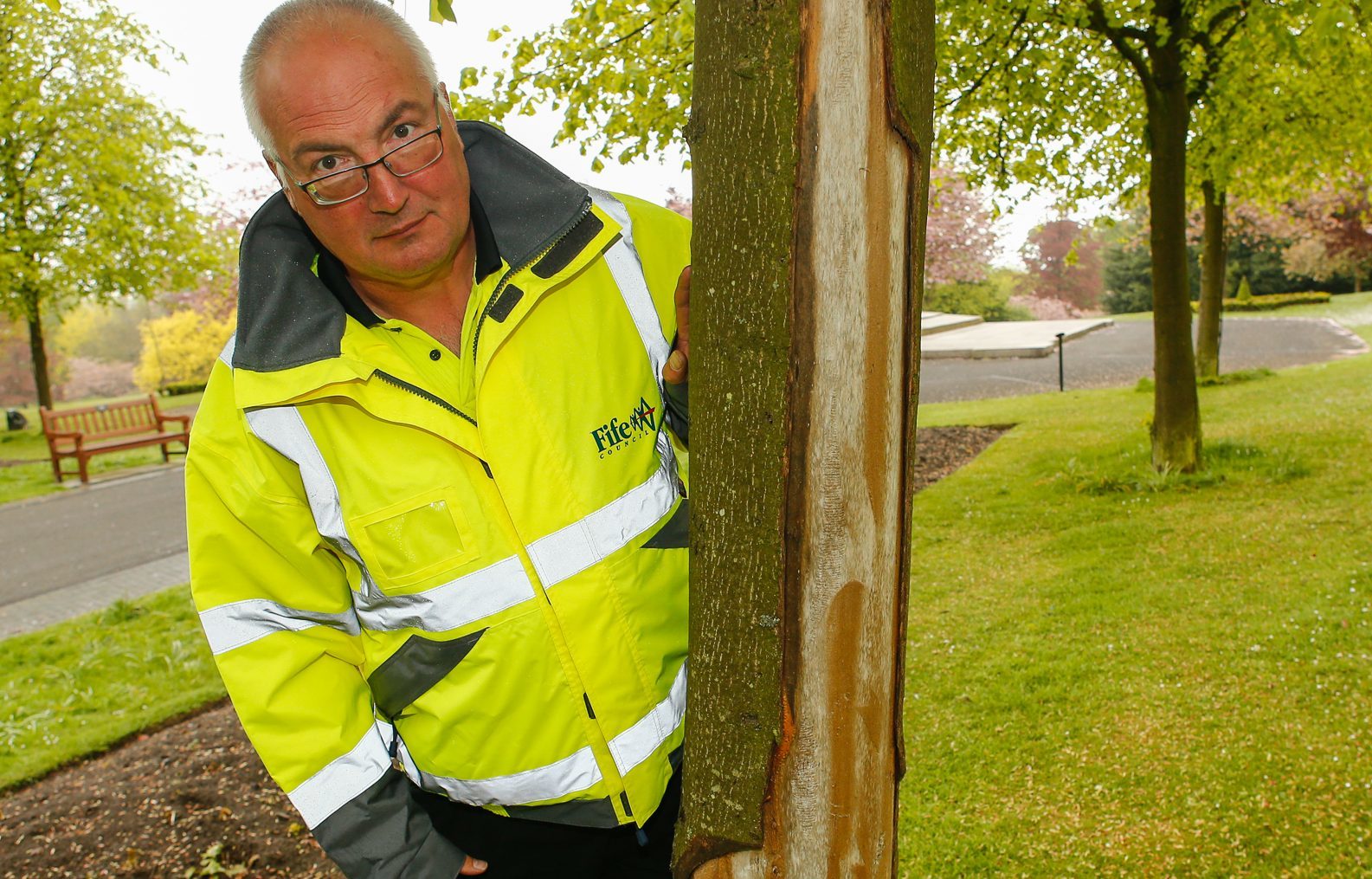 tearing-a-strip-off-tree-vandal-in-pittencrieff-park