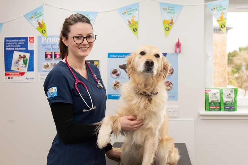 SPONSORED: Parkside Vets opens newly expanded surgery in Dundee