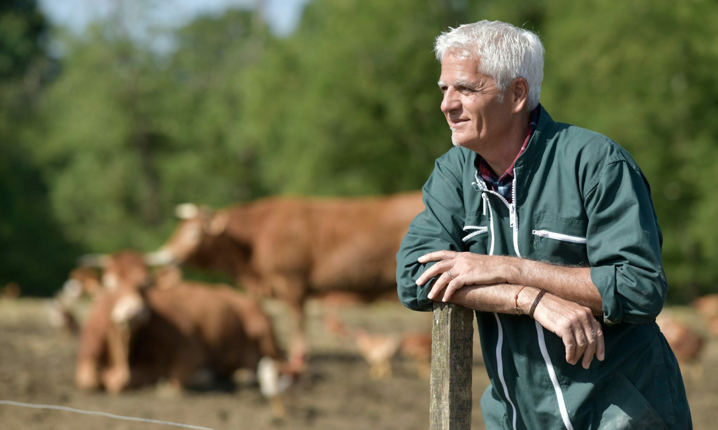 Survey confirms retirement brings no rest for Scottish farmers