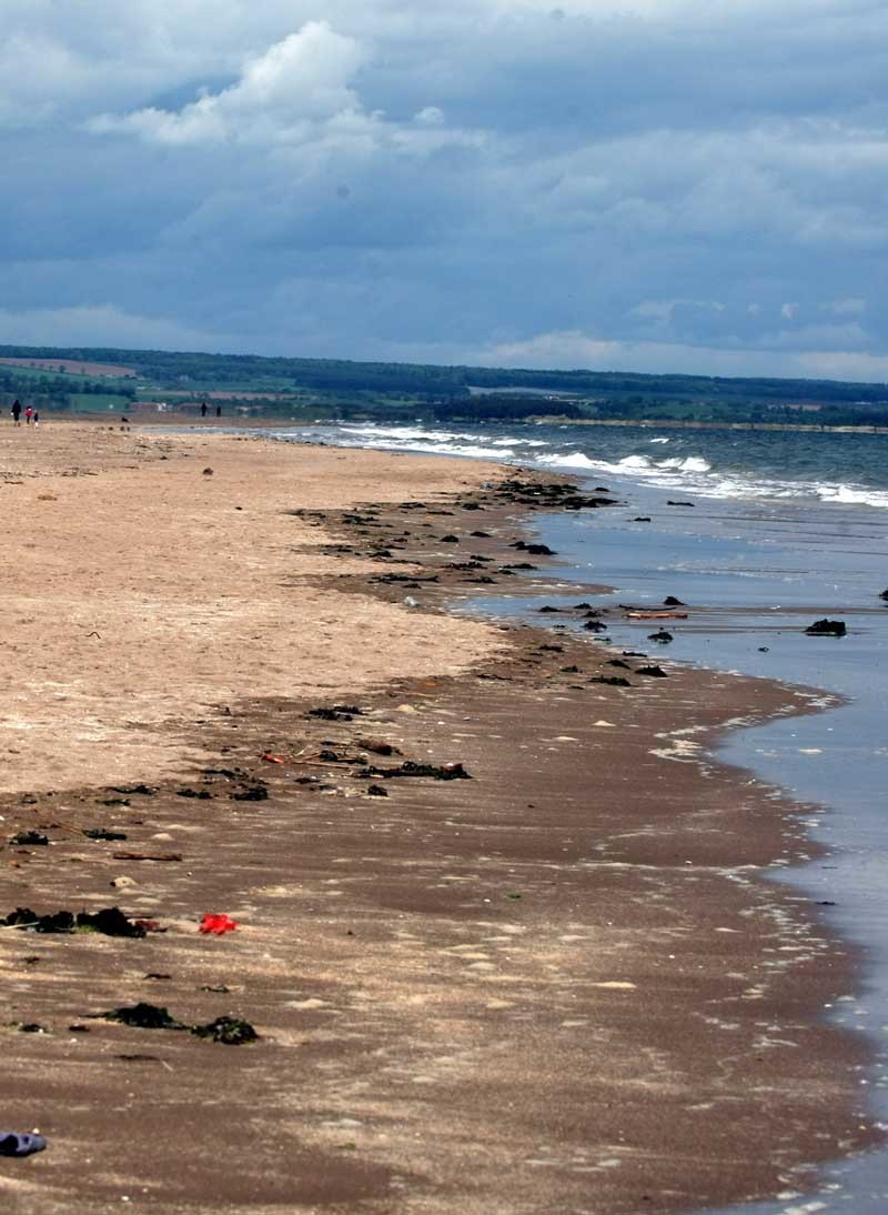 Kinshaldy Beach at Tentsmuir, Fife. - The Courier