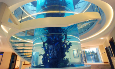 88 Aquarium Design Glasgow HD Terbaik