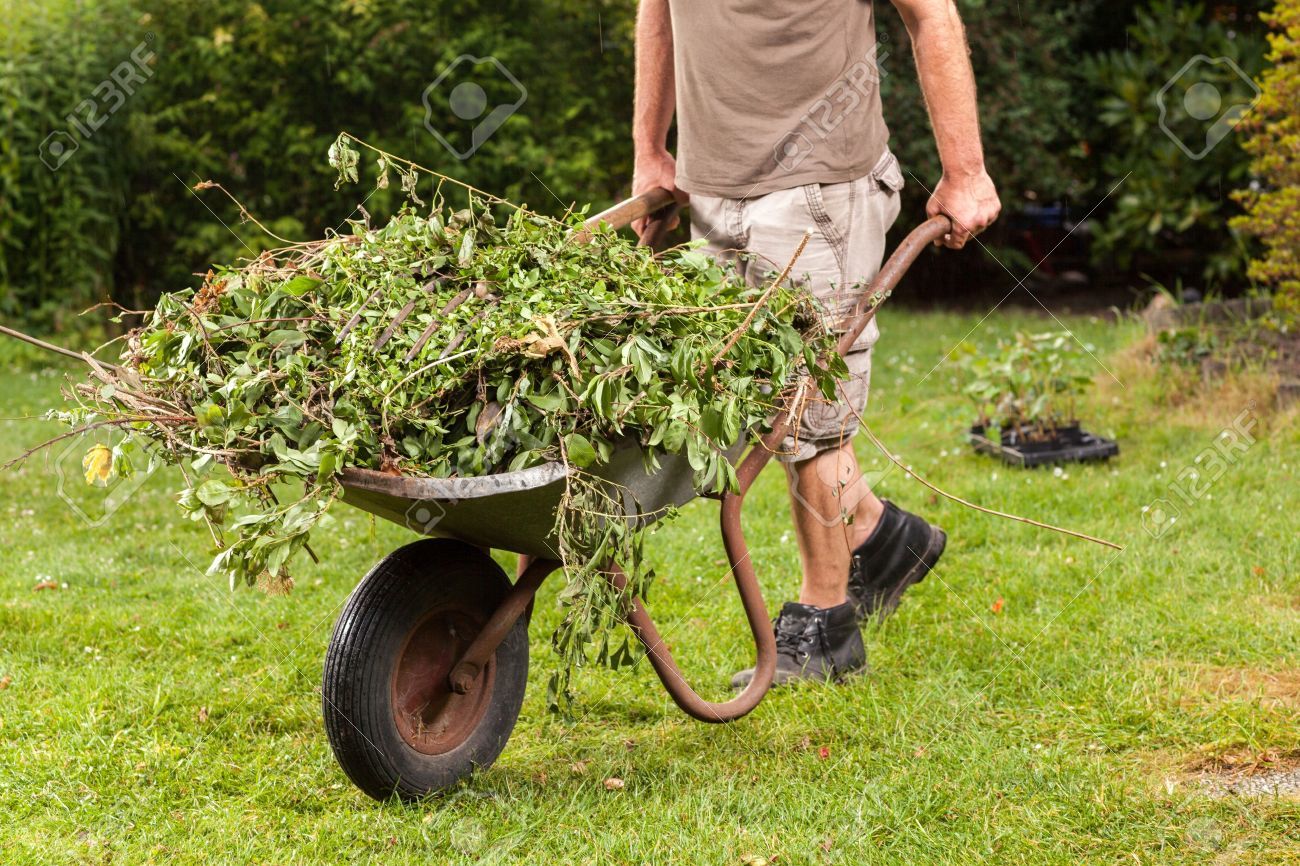 Does Ardley Tip Charge For Garden Waste