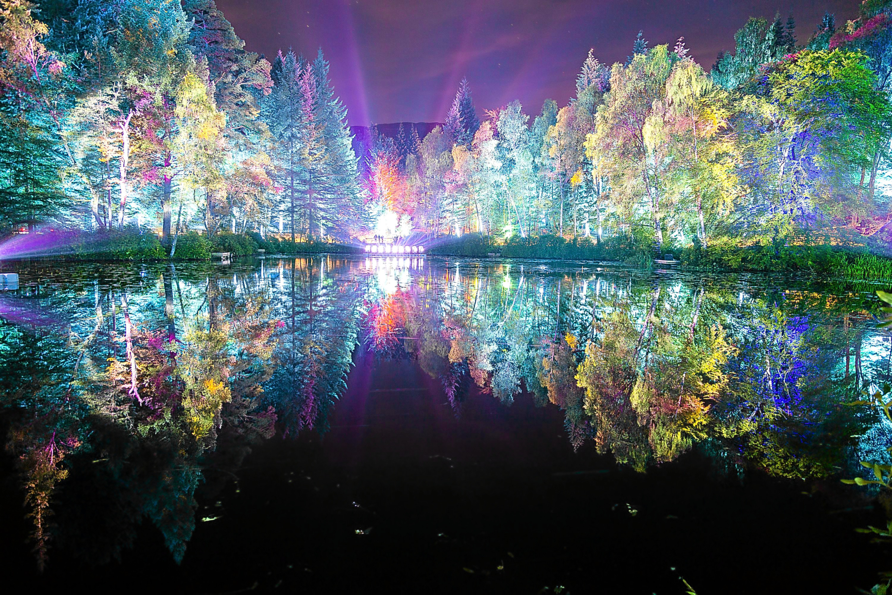 the-enchanted-forest-returns-for-its-17th-year-in-october-and-tickets