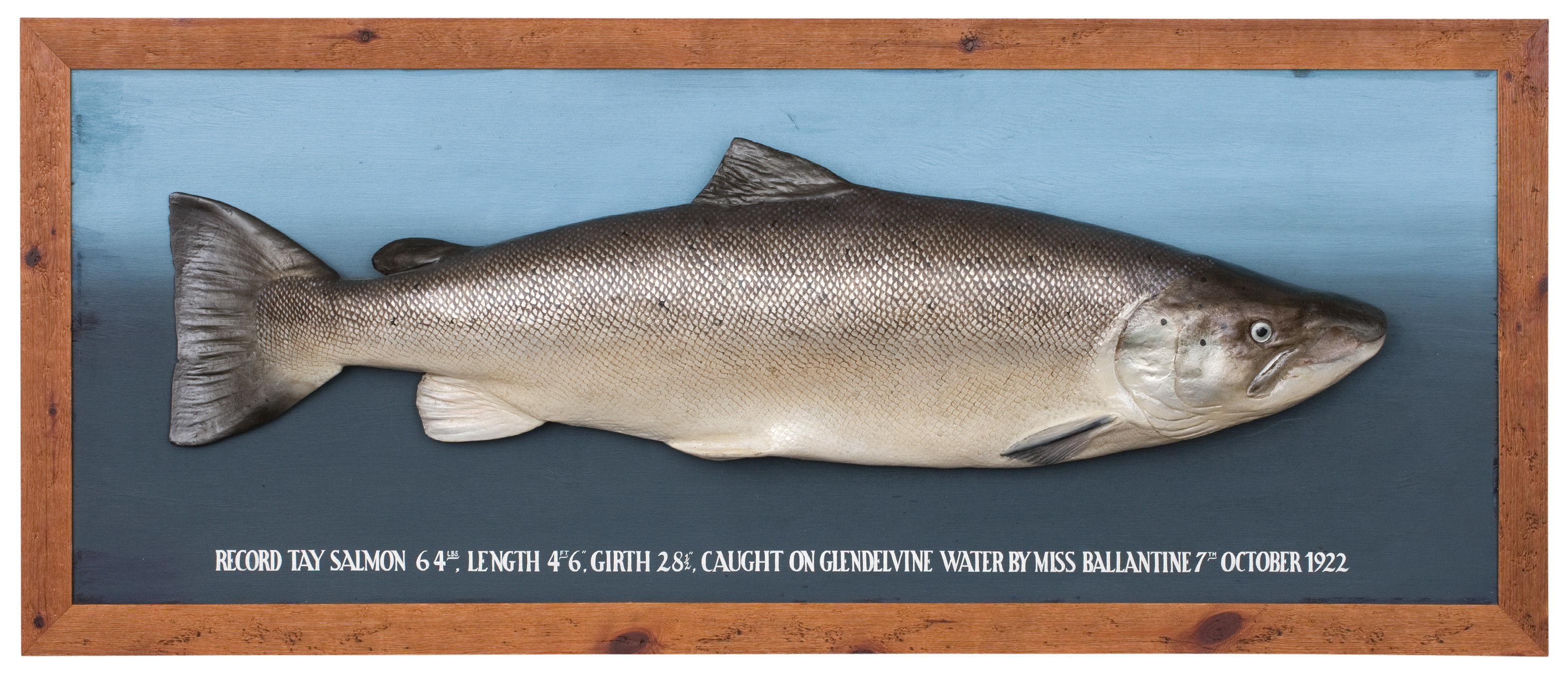 Cast Of Record Breaking Ballantine Salmon To Go Under The Hammer