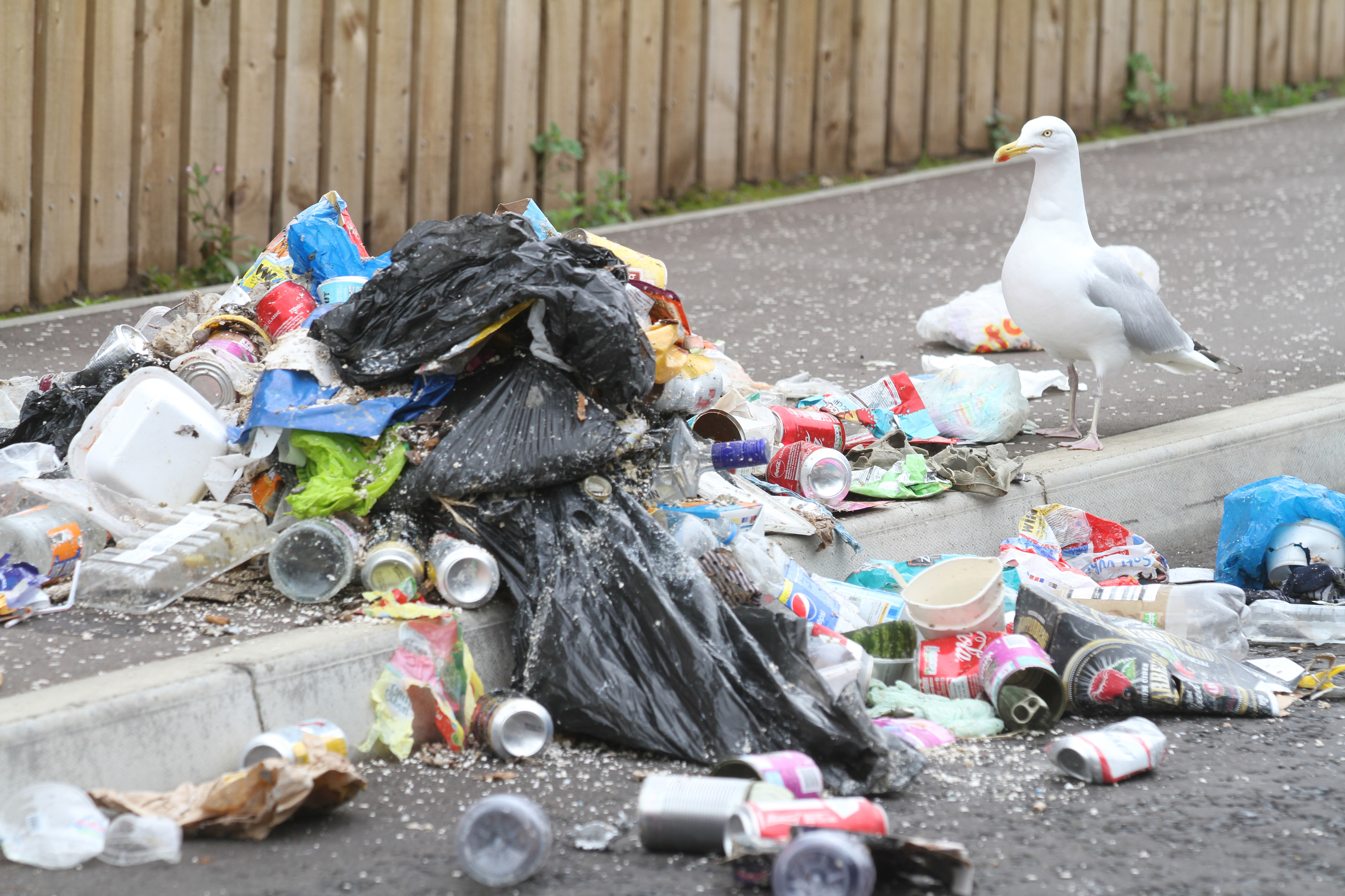 To look with much rubbish. Litter.