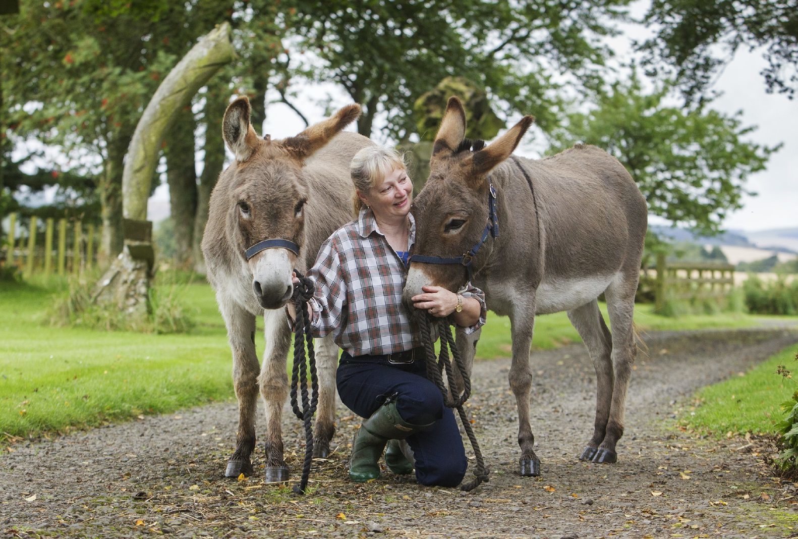 Girl Gets Donkey Punched