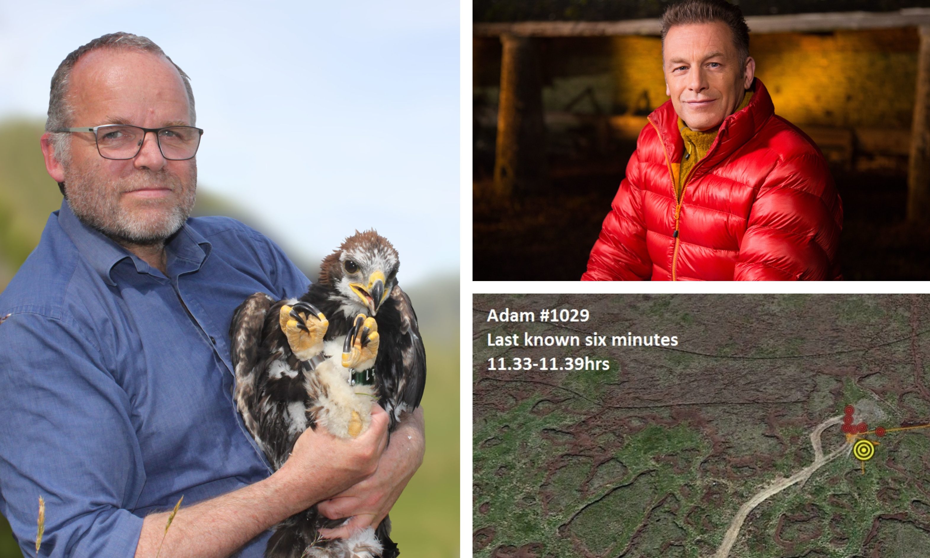 Suspicious Circumstances Says Chris Packham As Two Golden