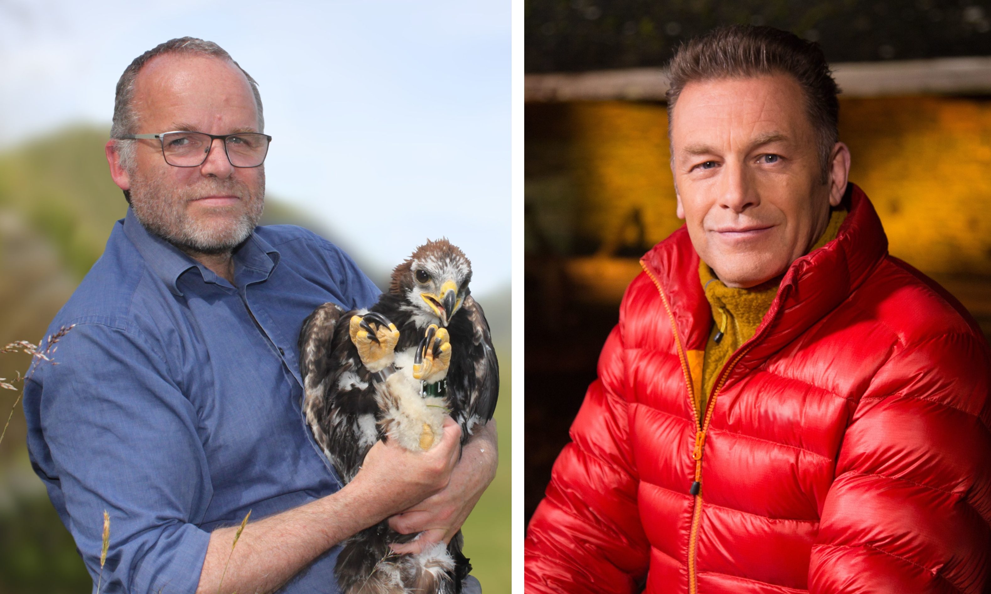 Suspicious Circumstances Says Chris Packham As Two Golden