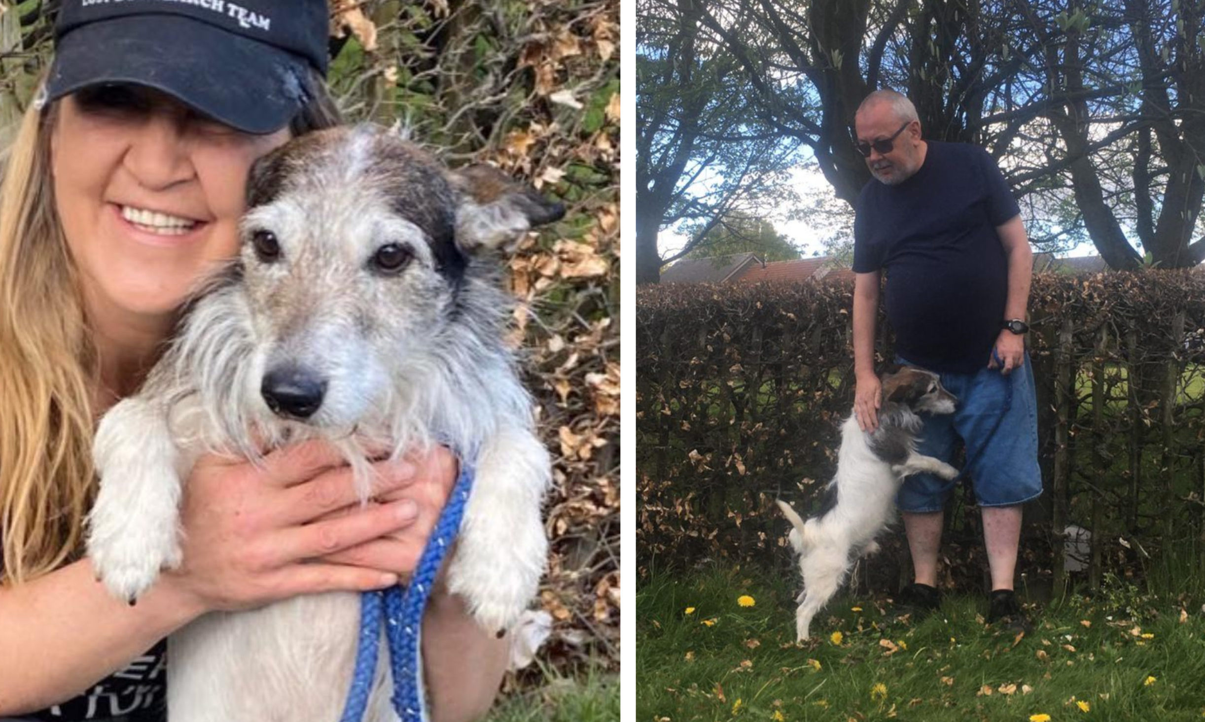 Missing dog Marley reunited with owners after being found 60 miles from