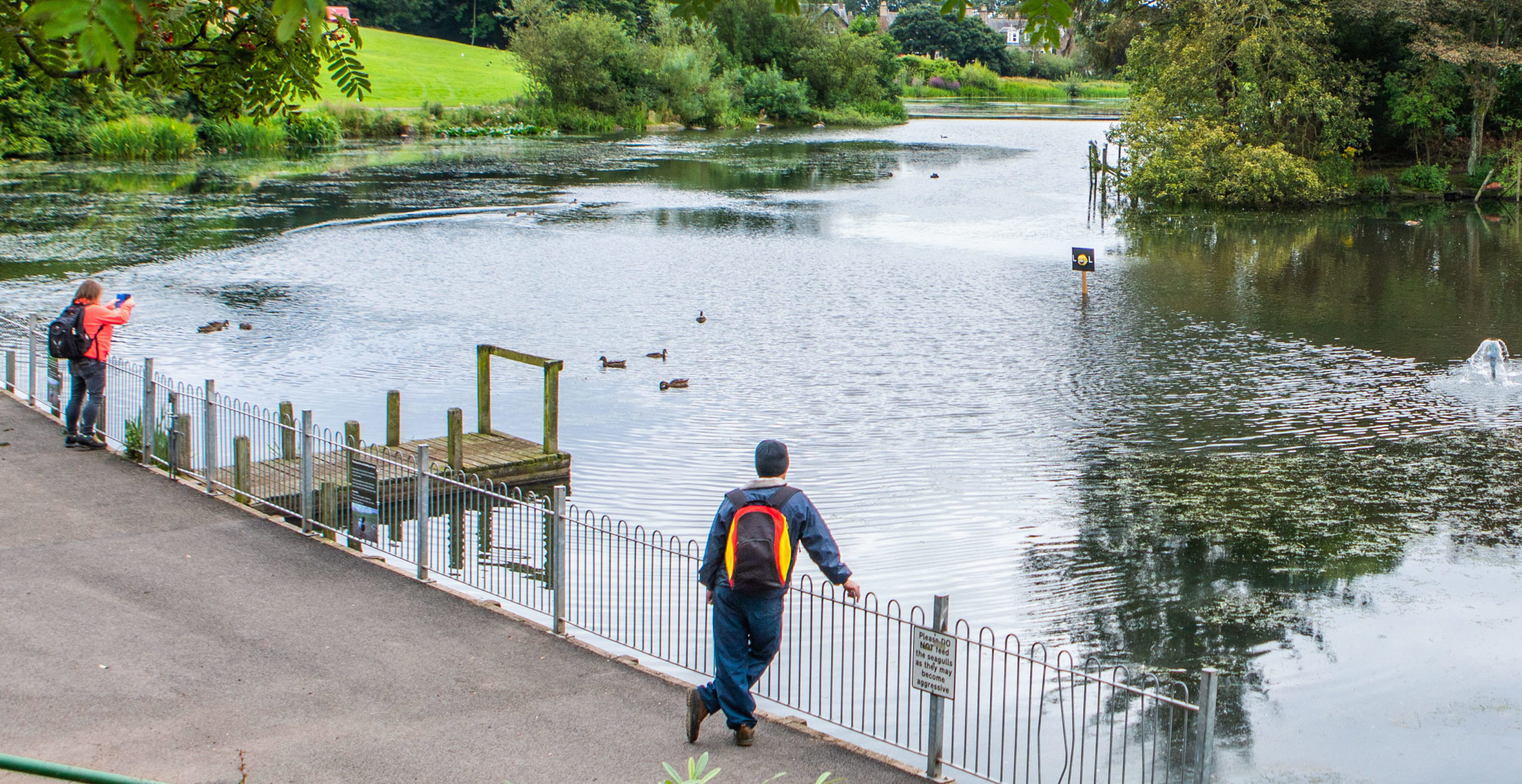 Friends of Stobsmuir Ponds