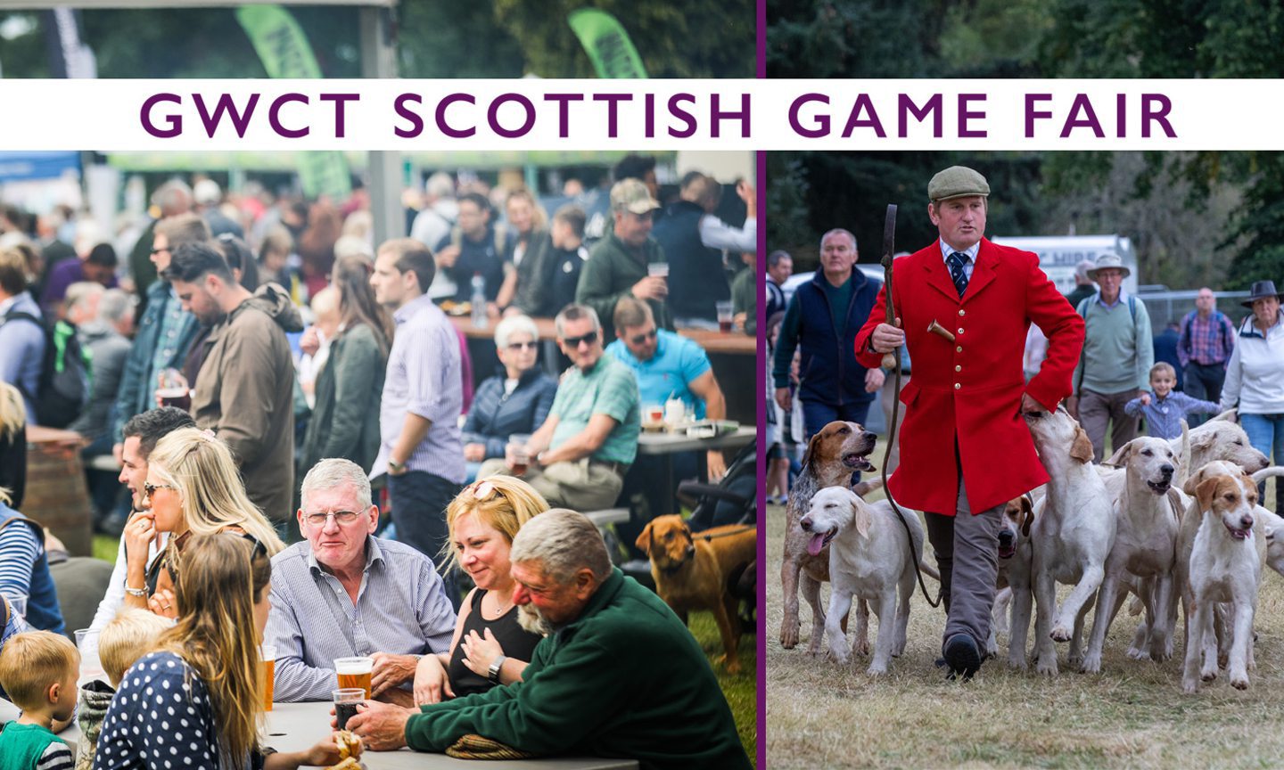 Scottish Game Fair 2022 What's on, opening times and weather forecast