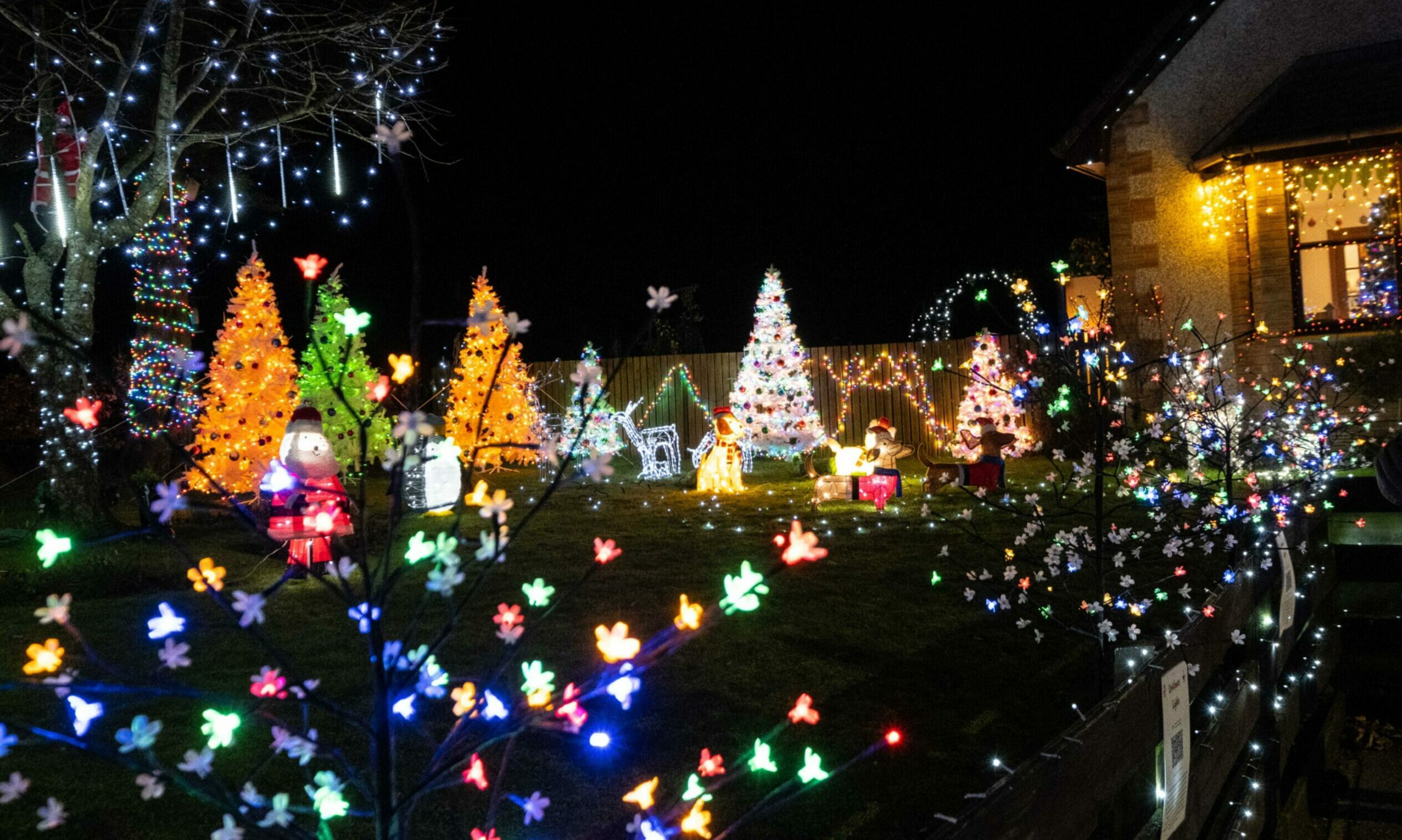 Is this Christmas light display in Brechin the best in Tayside?