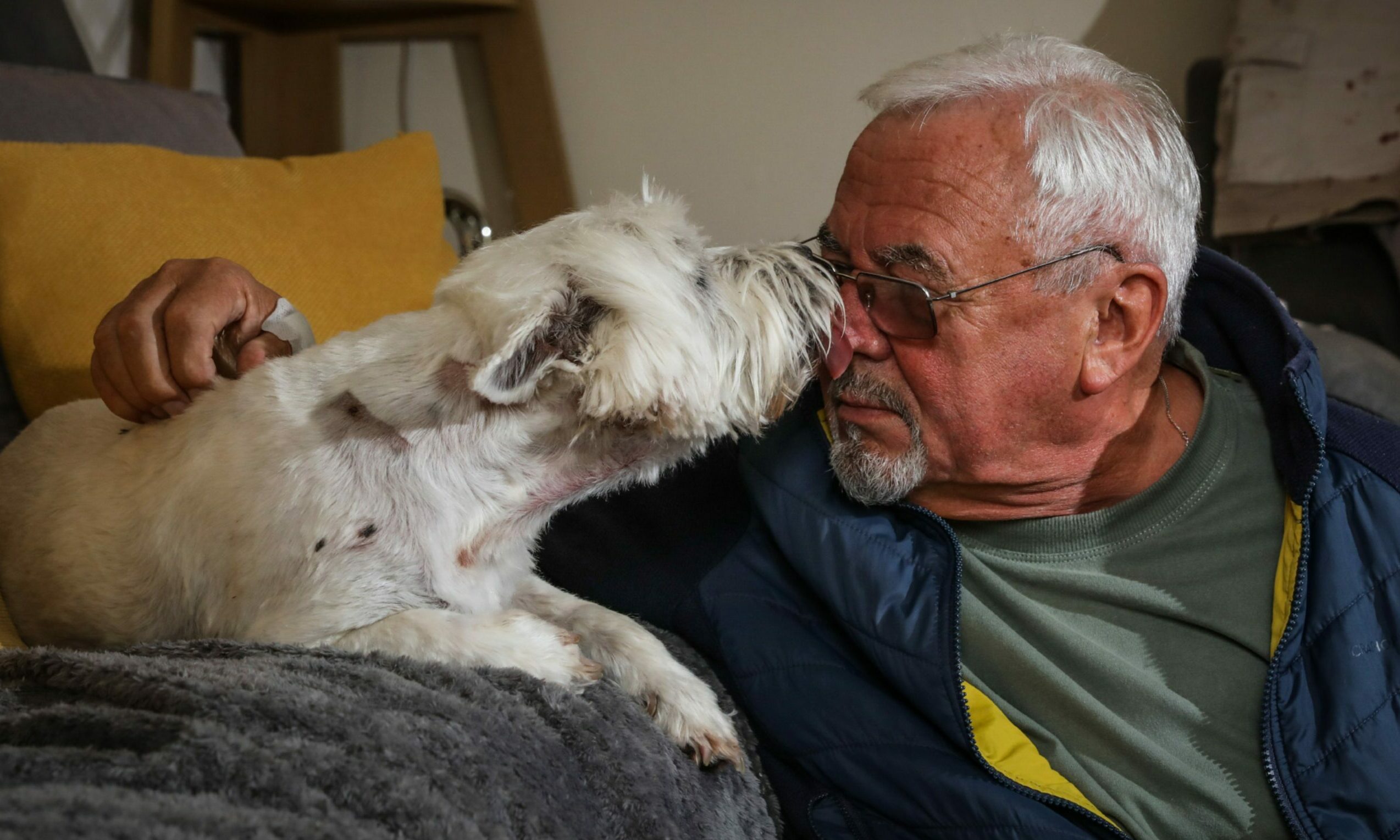 dundee-pensioner-too-scared-to-walk-dog-after-traumatising-attack