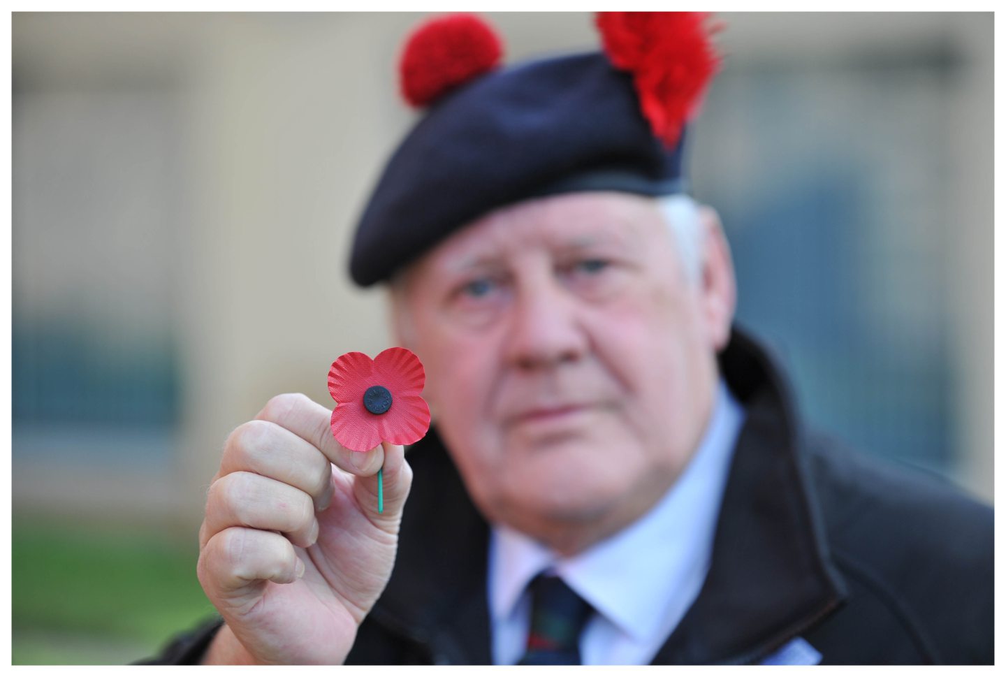 should-you-wear-a-red-poppy-white-poppy-or-no-poppy-at-all