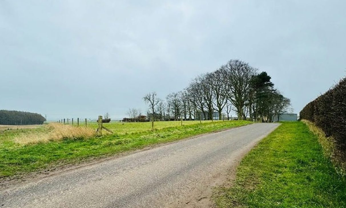 Arbroath dog park plan for farmer’s field near town