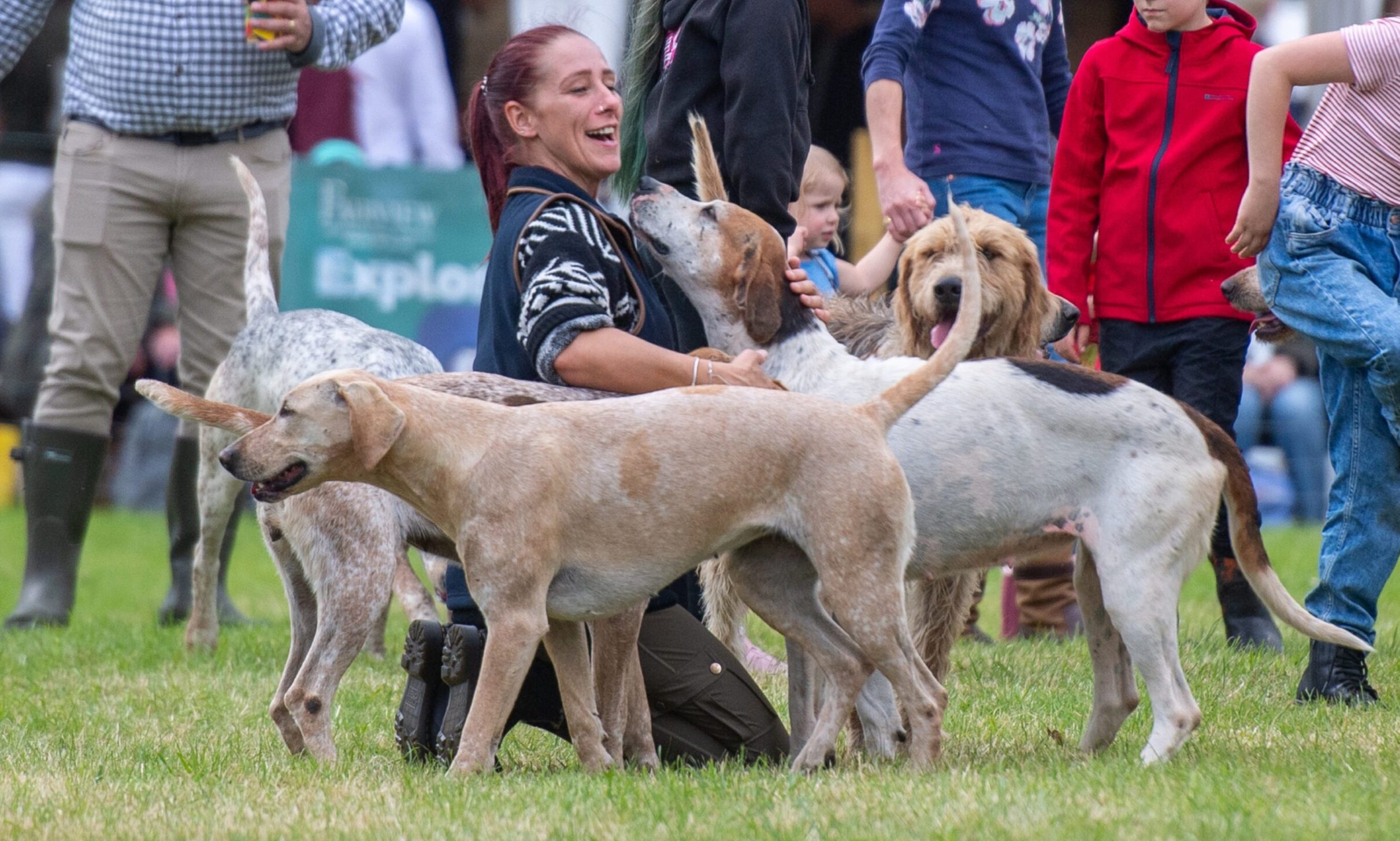 Scottish Game Fair 2024 Best pictures as event marks 35th year