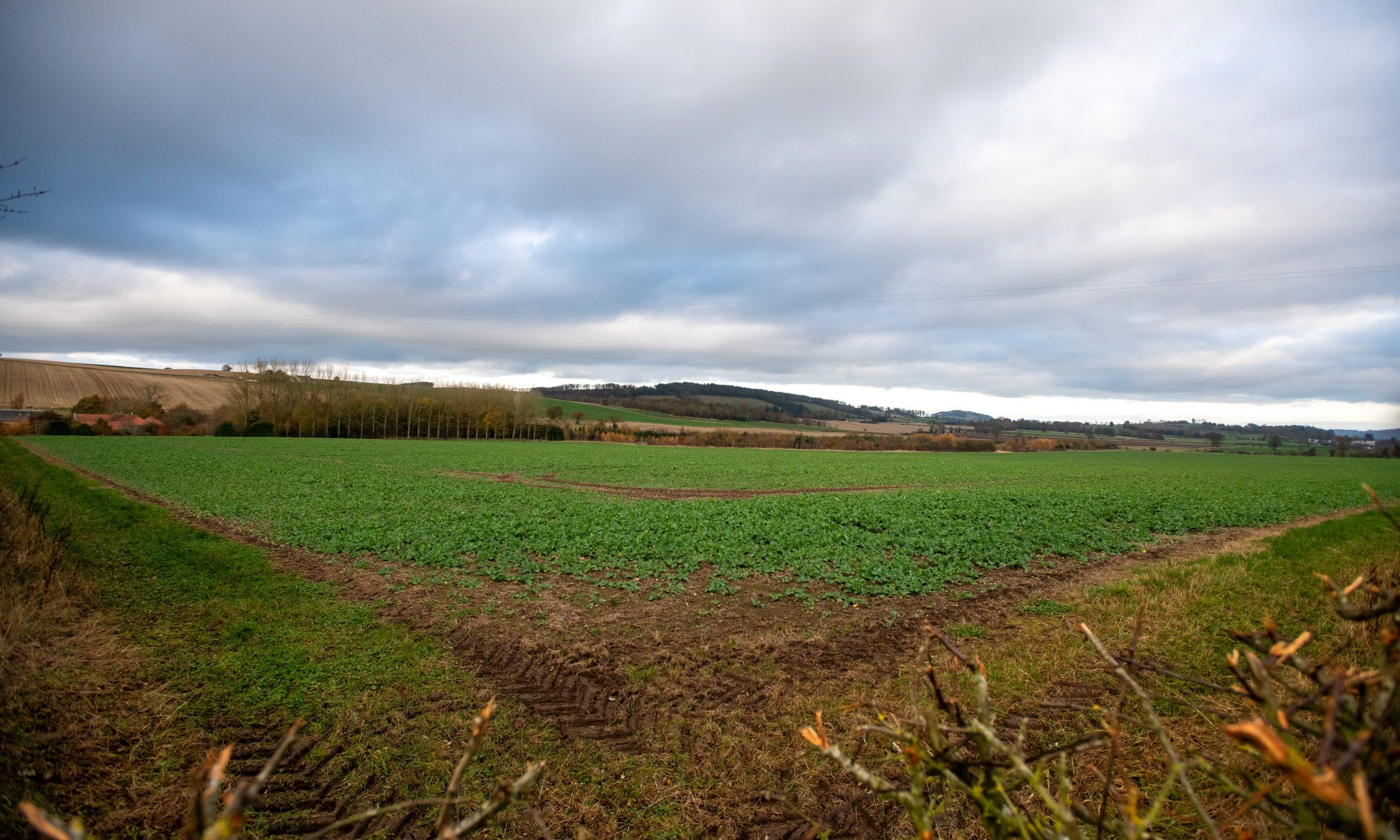 Cupar solar farm consultation offers chance to quiz developer