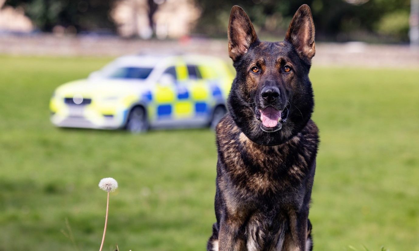 Fife police dog Oz retires after ‘exemplary career’