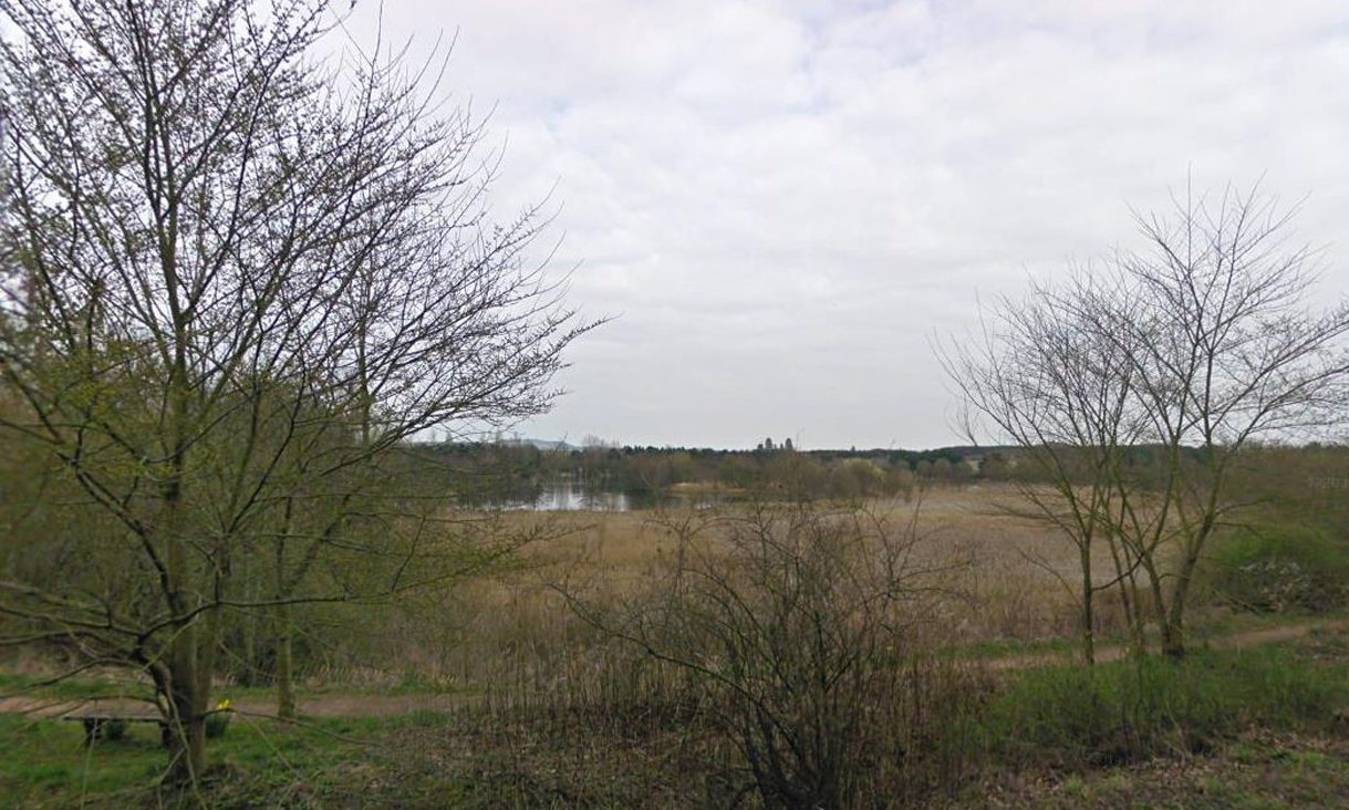 Public warned after avian flu outbreak at Fife nature reserve