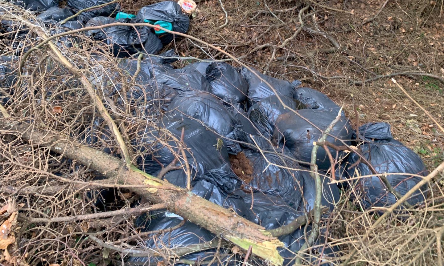 Cannabis farm remains found fly-tipped in Fife woods