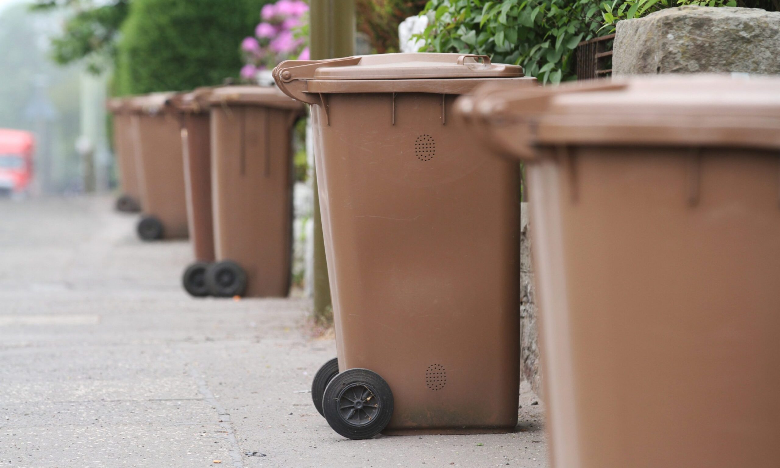 Dundee brown bin permit cost to rise again in 2025